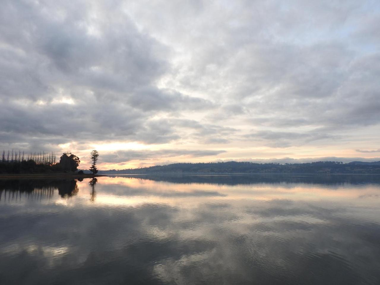 Tamar House Otel Rosevears Dış mekan fotoğraf